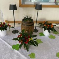 Herbstzeit – „Weinfest-Zeit“